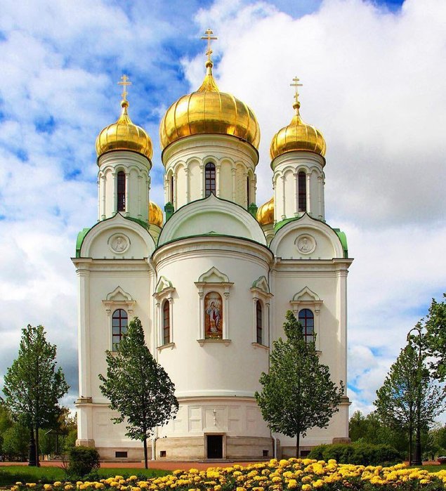 s1200пуш (635x700, 114Kb)