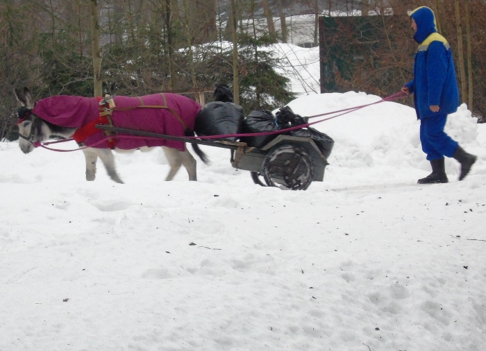 DSC07461 (700x506, 300Kb)