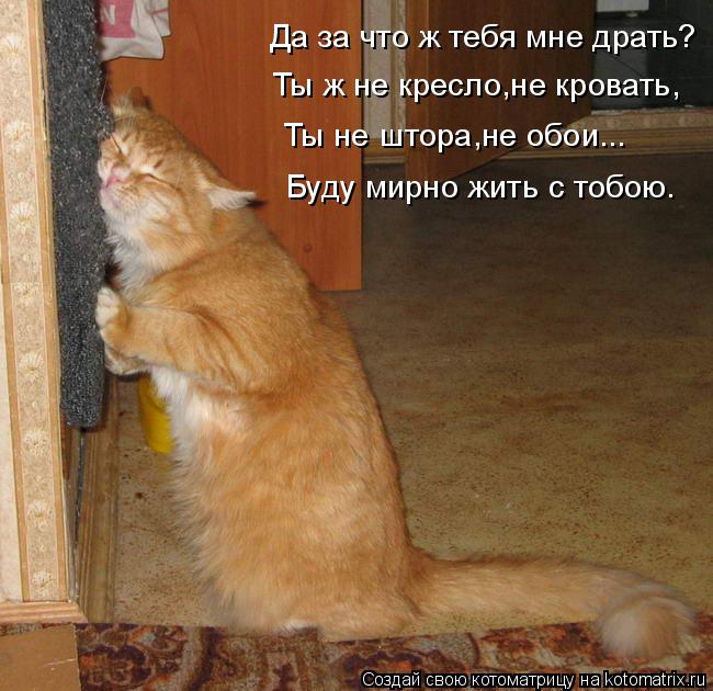 4743317_kotomatritsa_r (650x630, 69Kb)
