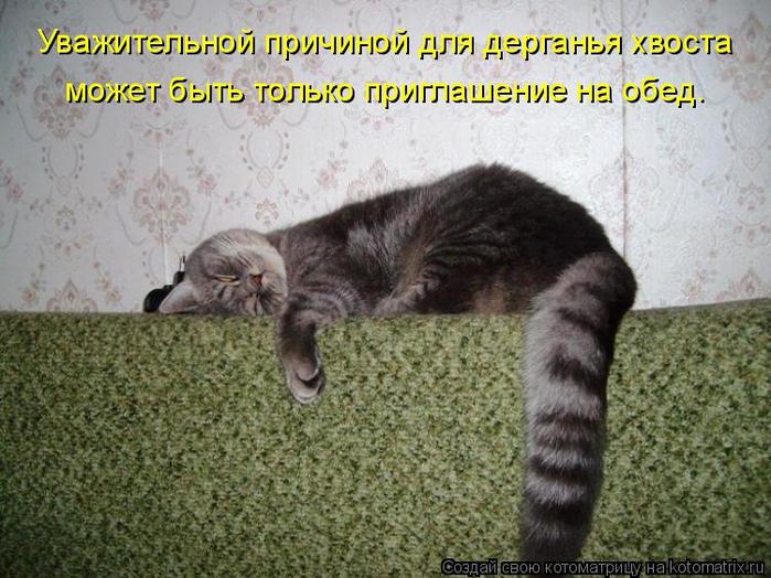 4743317_kotomatritsa_o (700x524, 75Kb)