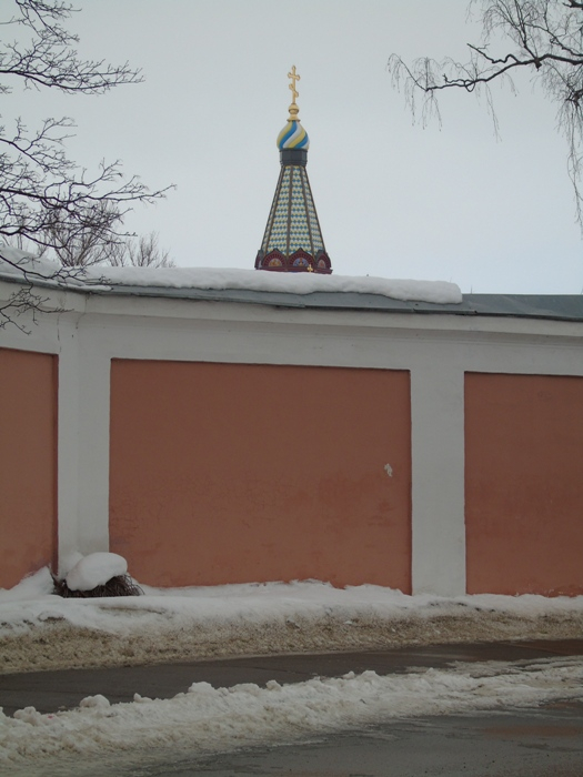 DSC07560 (525x700, 253Kb)