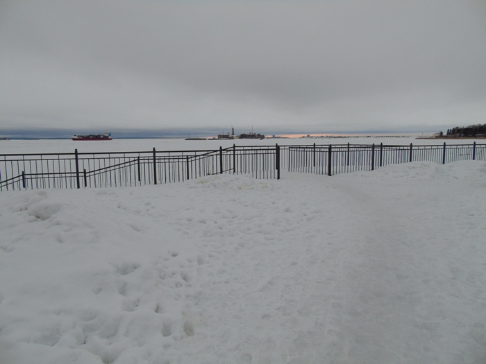 DSC07572 (700x525, 209Kb)