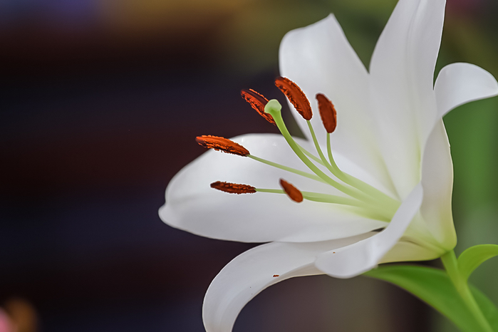 1427227 (700x466, 178Kb)