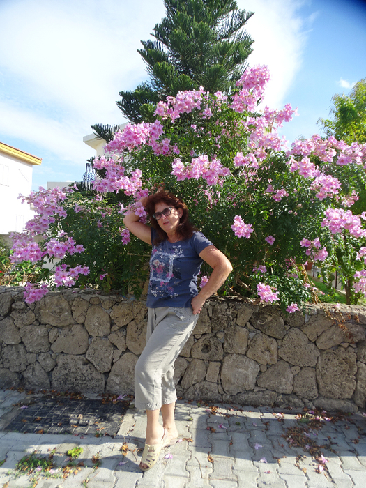 DSC08348 (525x700, 585Kb)