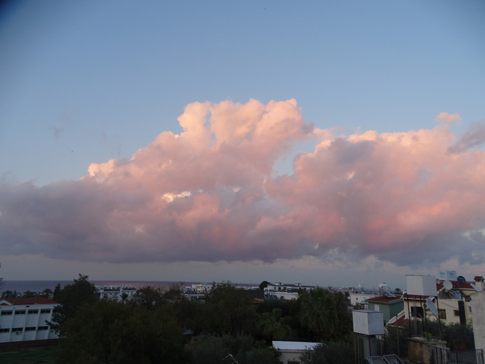 DSC08403 (700x525, 307Kb)