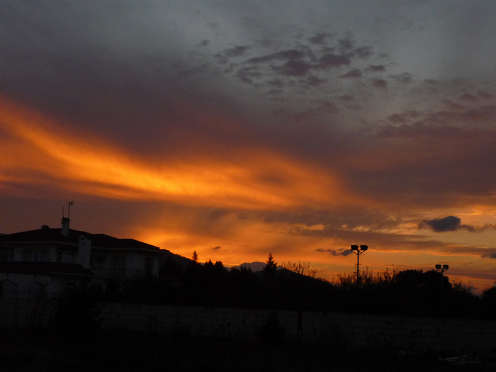 P1220612 (700x525, 252Kb)