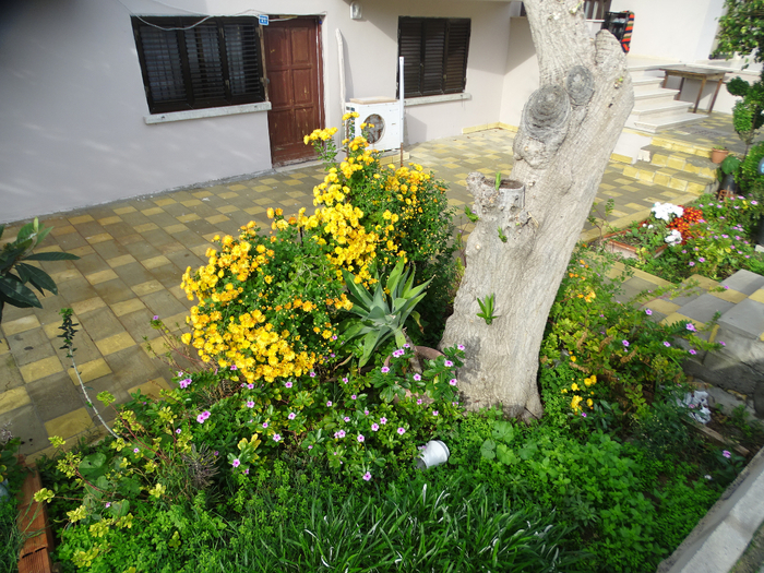 DSC08436 (700x525, 615Kb)