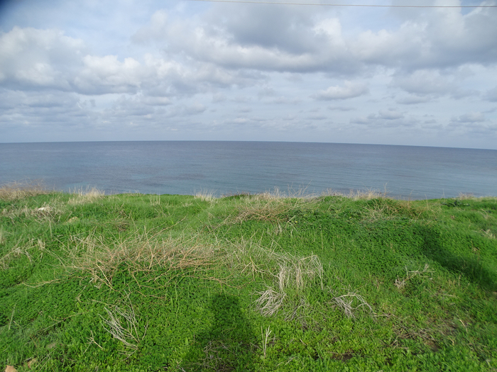 DSC08442 (700x525, 500Kb)