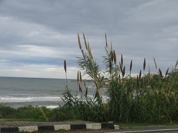 DSC08698 (700x525, 395Kb)