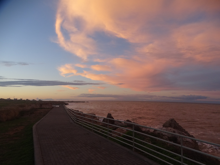 DSC08749 (700x525, 320Kb)