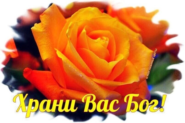 image (3) (640x427, 232Kb)