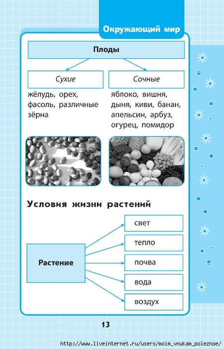 Okruzhayuschiy_mir_1-4_klass_V_skhemakh_i_tablitsa_013 (451x700, 182Kb)