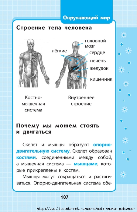 Okruzhayuschiy_mir_1-4_klass_V_skhemakh_i_tablitsa_107 (451x700, 189Kb)