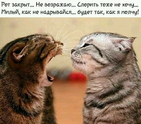 02a1a75e09b579998cae2a19b8fd7160 (563x497, 53Kb)