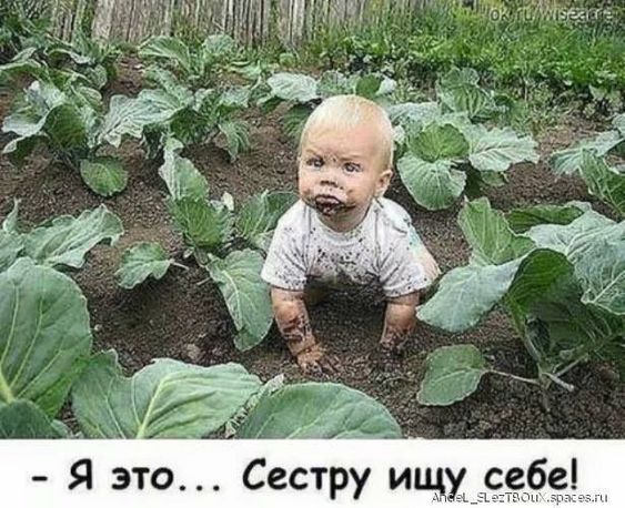 5ed53e1d83622ec06f8431ca6c8bbd05 (563x458, 70Kb)