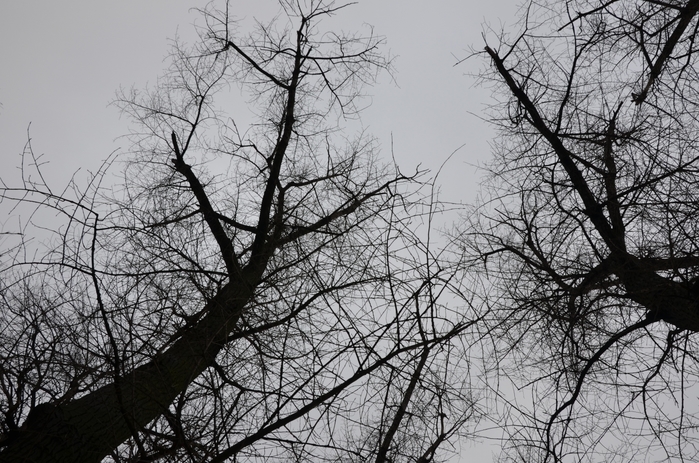 6313355_210170 (700x463, 289Kb)