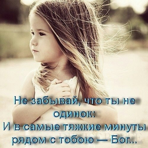 13 (500x500, 267Kb)