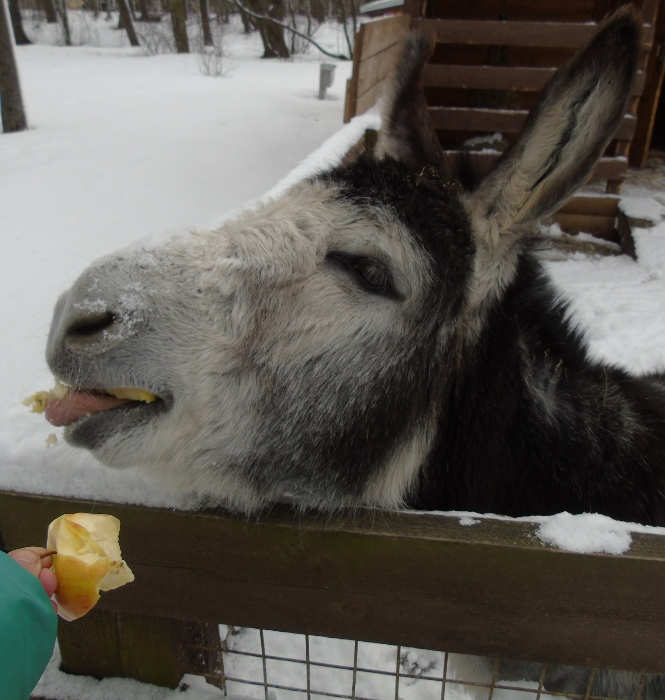 DSC07948 (665x700, 352Kb)