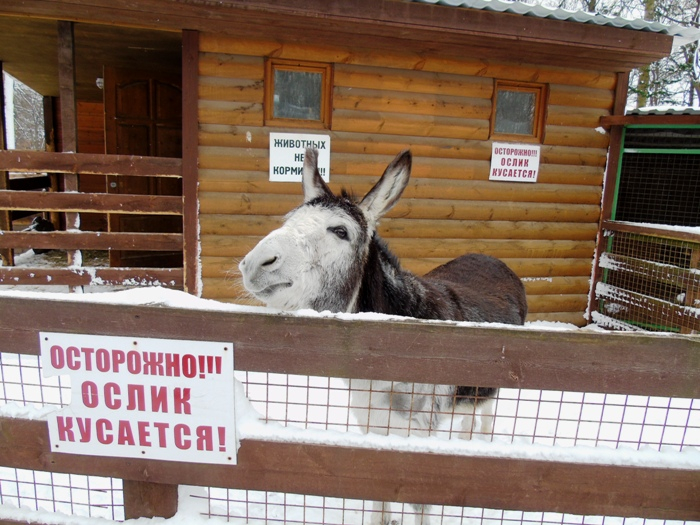 DSC07967 (700x525, 405Kb)