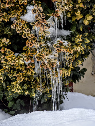 seg1 (404x533, 262Kb)