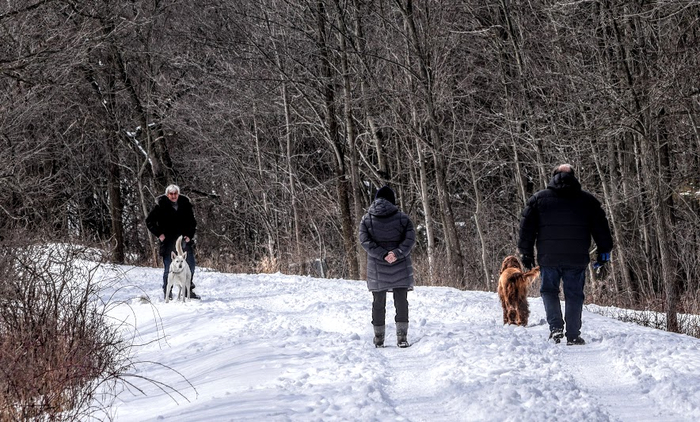 pes3 (700x422, 344Kb)