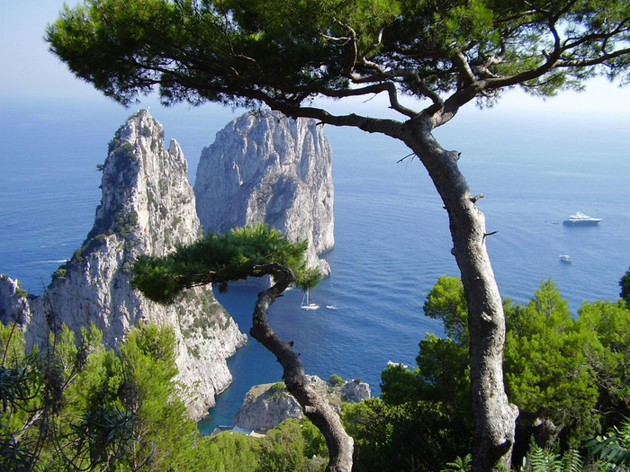capri06_2043 (700x525, 472Kb)