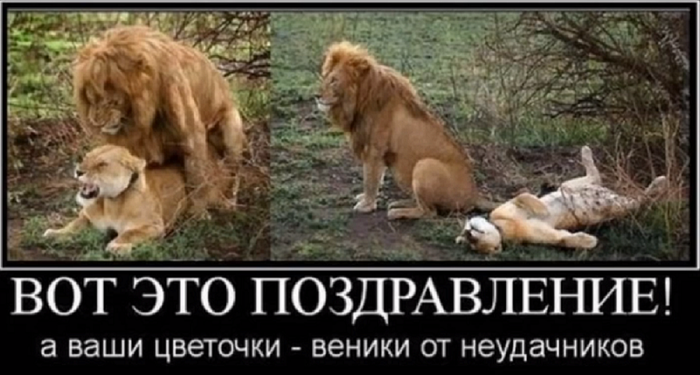   8  (700x375, 402Kb)