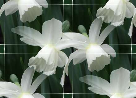 p_spring002 (440x319, 59Kb)
