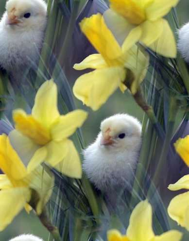 p_spring004 (389x494, 111Kb)