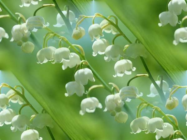 p_spring014 (1) (600x450, 143Kb)