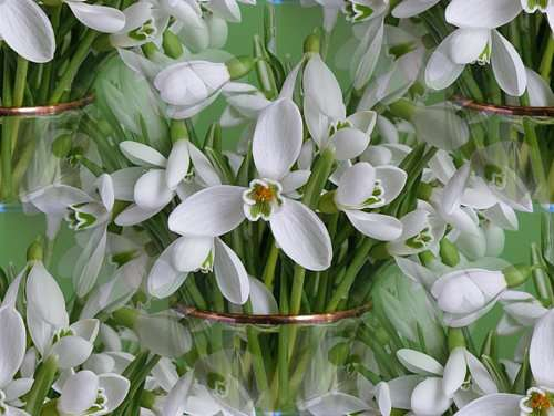 p_spring034 (500x376, 128Kb)