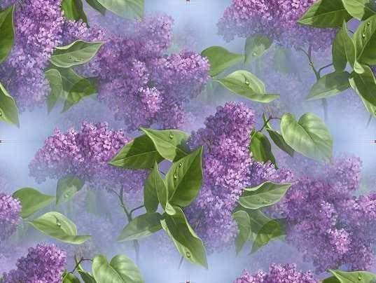 p_spring036 (537x404, 140Kb)
