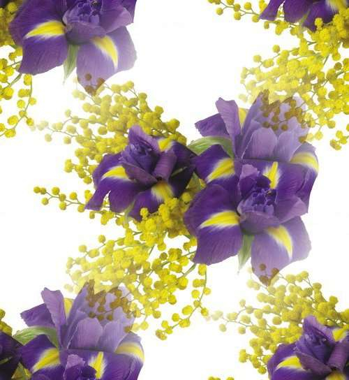 p_spring040 (500x544, 205Kb)
