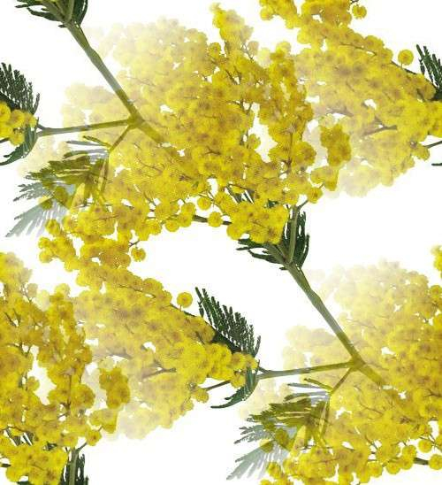 p_spring056 (500x548, 228Kb)