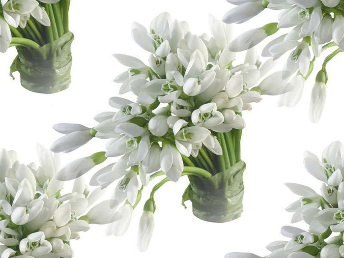 p_spring060 (700x525, 252Kb)