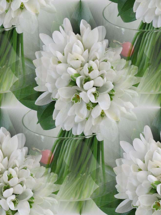 p_spring066 (525x700, 306Kb)