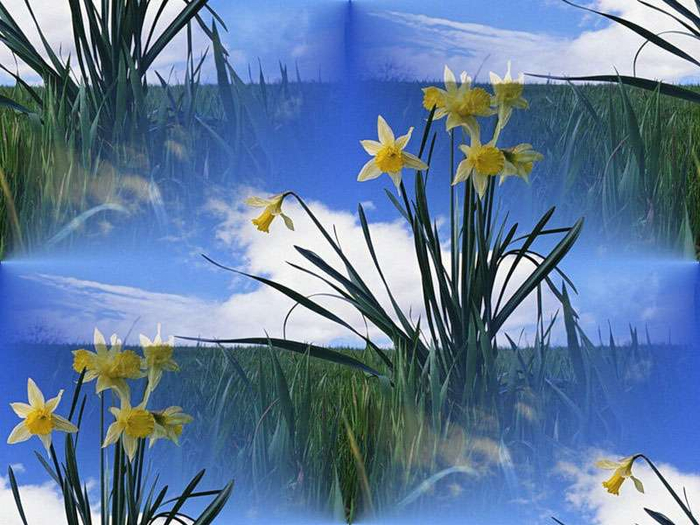 p_spring068 (700x525, 388Kb)