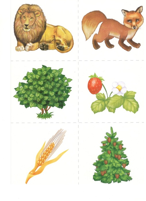 Scan4 (508x700, 82Kb)