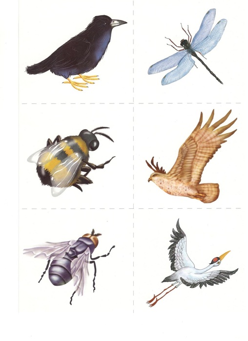 Scan6 (508x700, 62Kb)