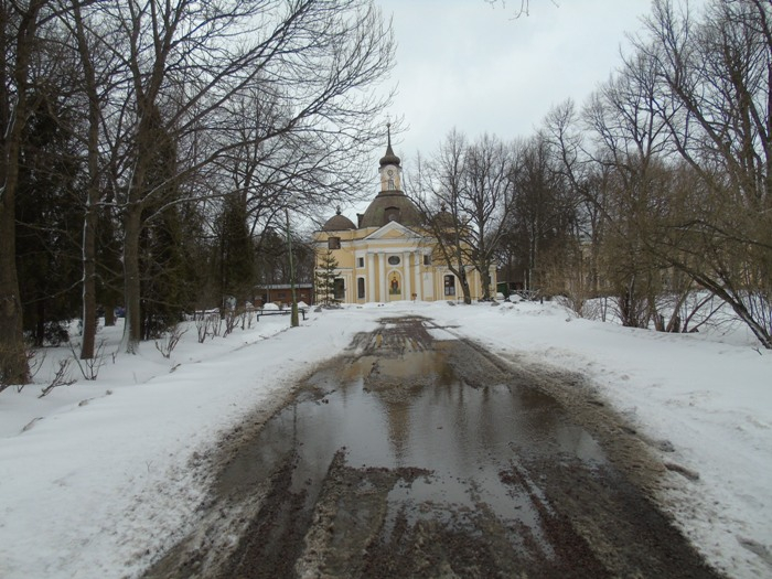 DSC08058 (700x525, 349Kb)