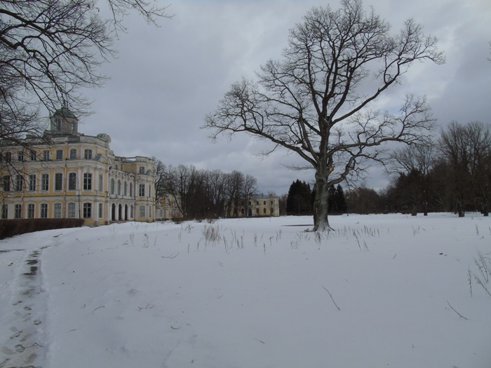 DSC08094 (700x525, 287Kb)