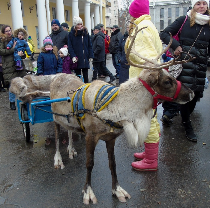 DSC08135 (700x692, 534Kb)