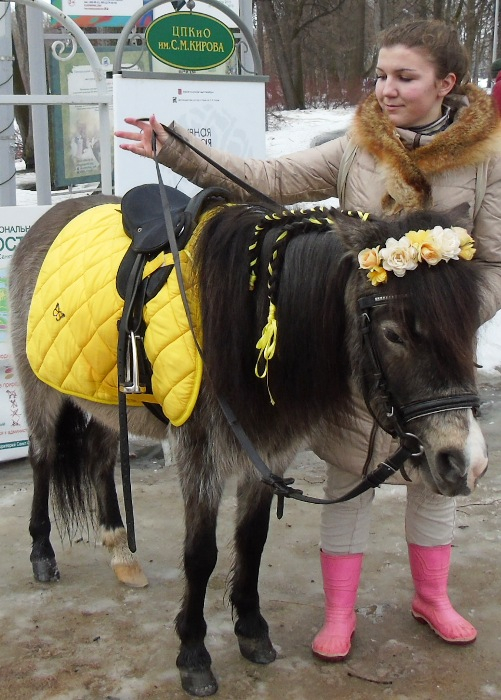 DSC08153 (501x700, 362Kb)