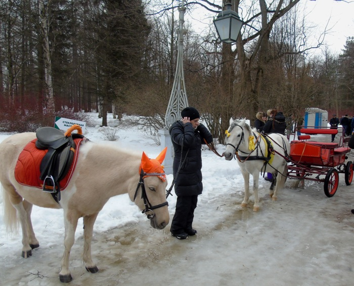 DSC08222 (700x566, 397Kb)