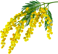 863682_f32fb (331x318, 55Kb)