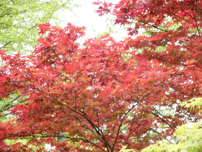 4752699_ve_1587 (700x525, 382Kb)