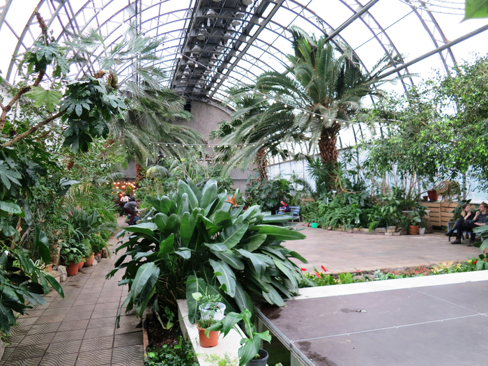 IMG_3402 (700x525, 585Kb)