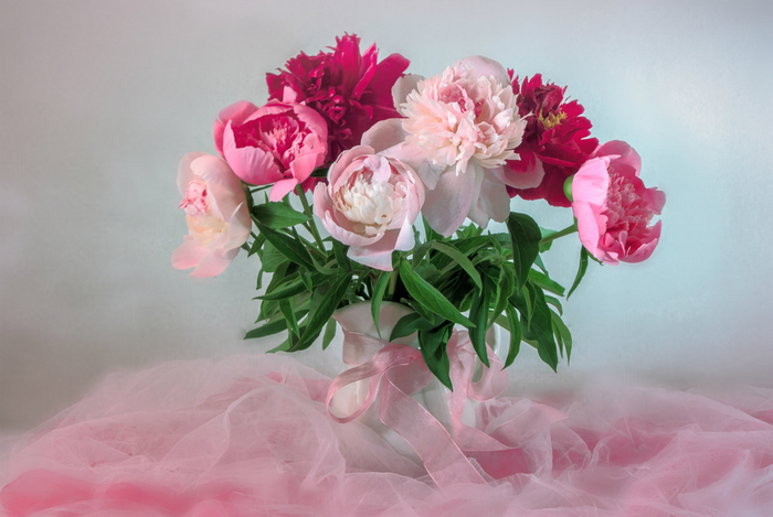 79749b5c897686e (700x469, 343Kb)