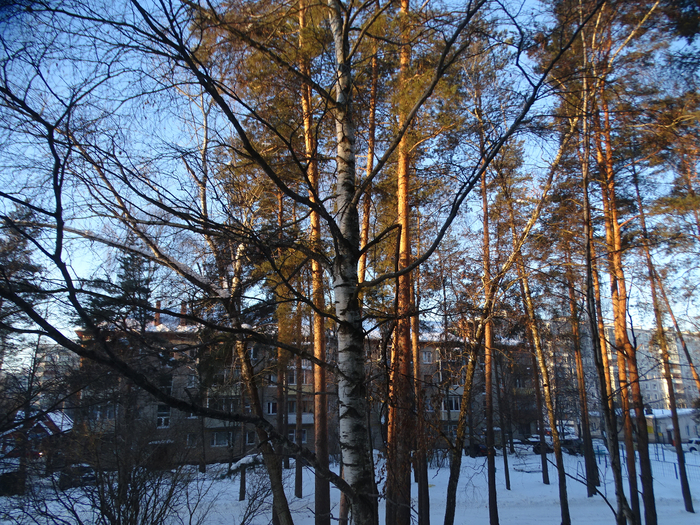 DSC00416 (700x525, 699Kb)