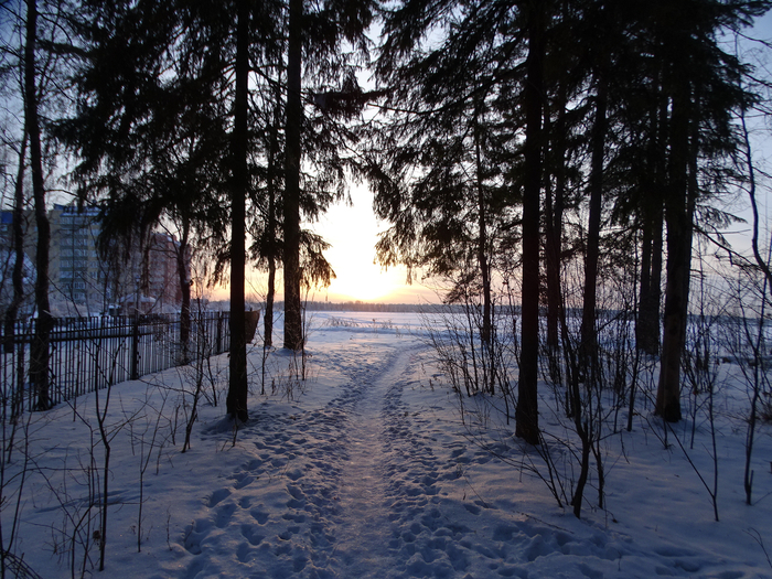 DSC00435 (700x525, 565Kb)